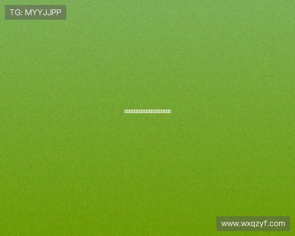 云端对决智慧争锋，打造未来战场精英人才